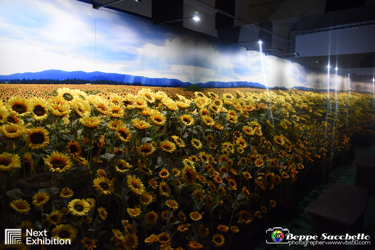VBS_8127 - Van_Gogh_experience.jpg